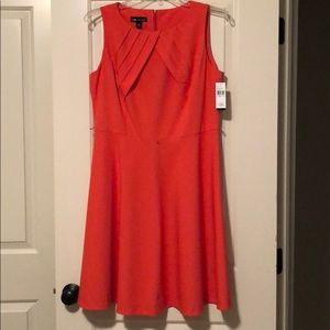 NWT fit and flair dress